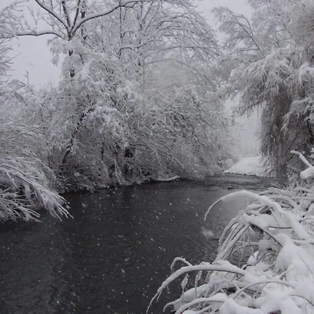 Riverside Garden Three Springs Tri Zvira Plesce