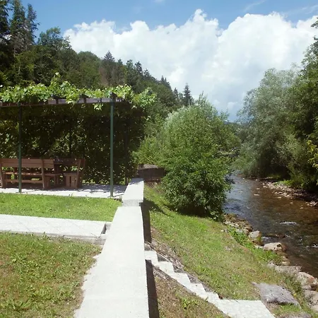 Riverside Garden Three Springs Tri Zvira *