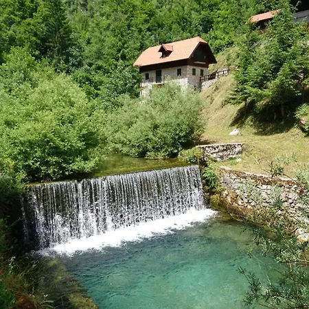 Riverside Garden Three Springs Tri Zvira *