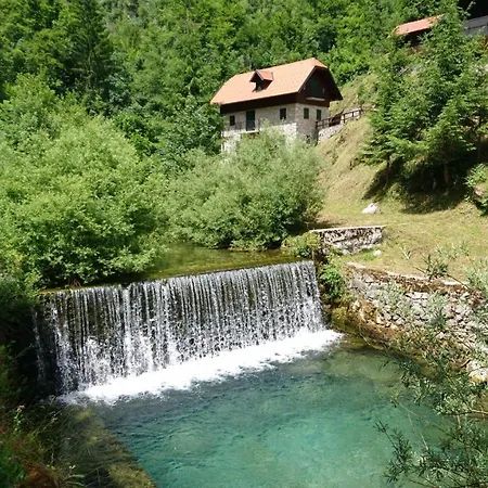 Riverside Garden Three Springs Tri Zvira *